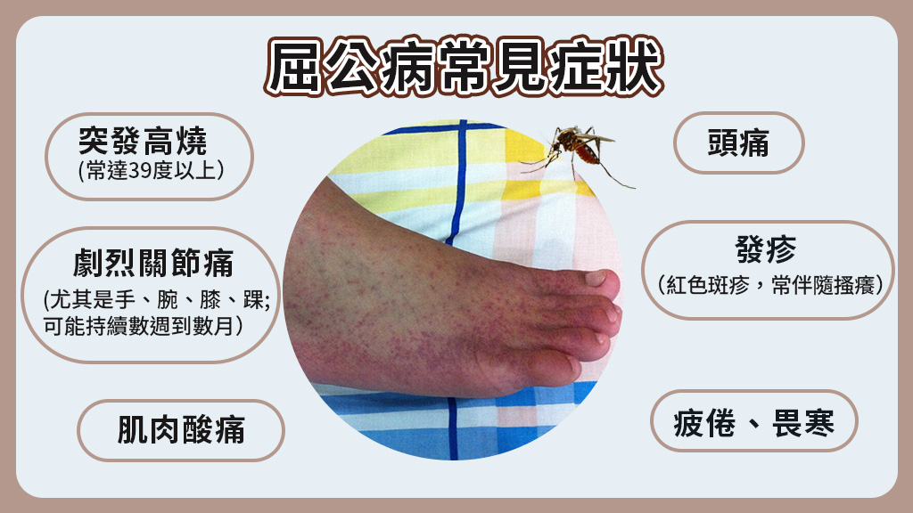 屈公病疫情升溫！蚊子叮一下就中招？感染途徑、症狀、治療與預防完整解析