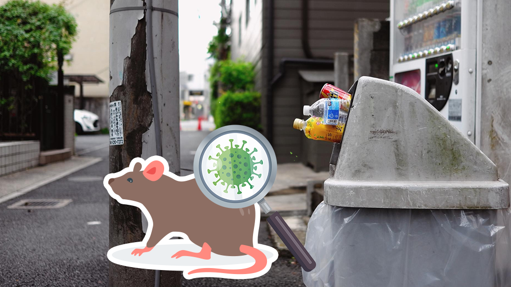 隱藏在陰暗處的致命威脅：漢他病毒症候群——你不可不知的居家防疫關鍵