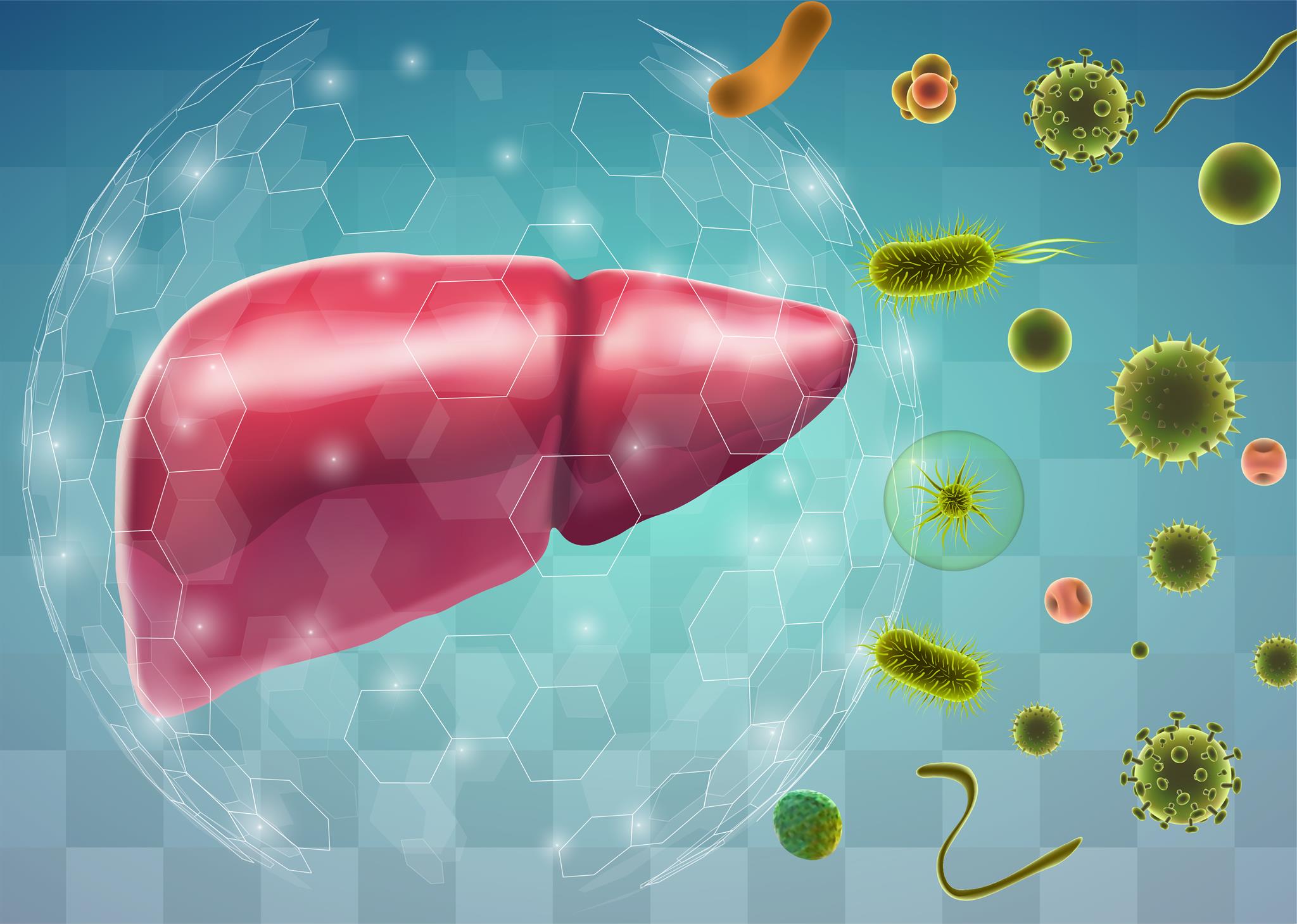 健檢報告「γ-GT」紅字怎麼辦？日常5方法護肝降低γ-GTP | 醫聯網